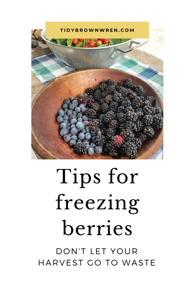 Pinterest/tips for freezing berries/tidybrownwren.com